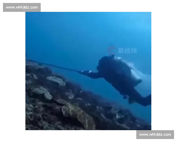 从恐惧到深蓝:她征服深海,成为自由潜水员 从恐惧到深蓝:她征服深海,成为自由潜水员