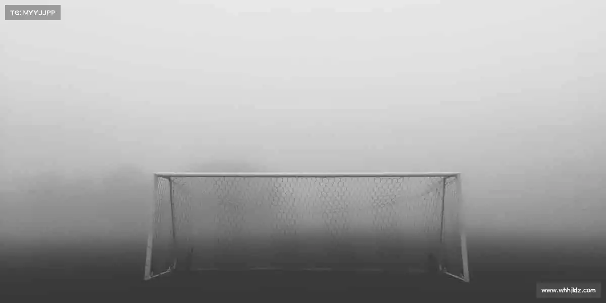 我们的核心竞争力